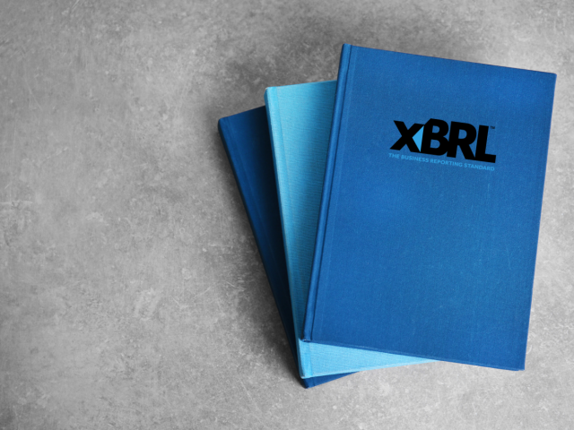 Introduction to XBRL: Understanding the Basics