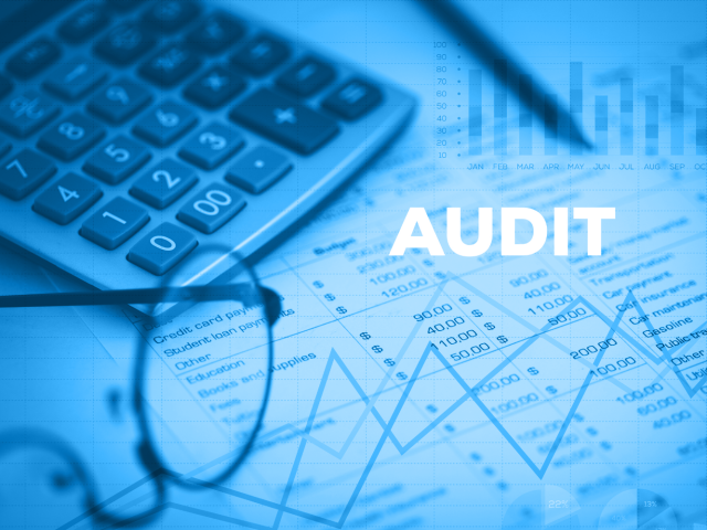 XBRL for Auditors: Enhancing the Audit Process