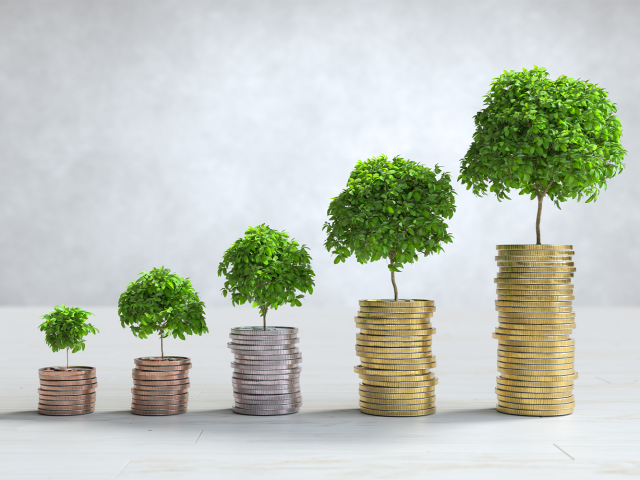 ESG Investing: What Investors Need to Know   I