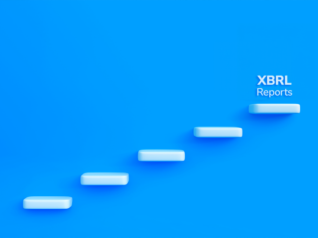 Step-by-Step Guide to Creating Your First XBRL Report