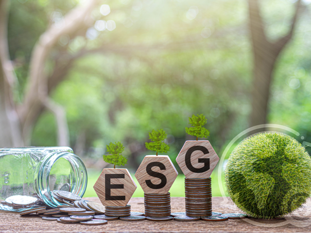 How ESG Factors Affect Bank Valuations